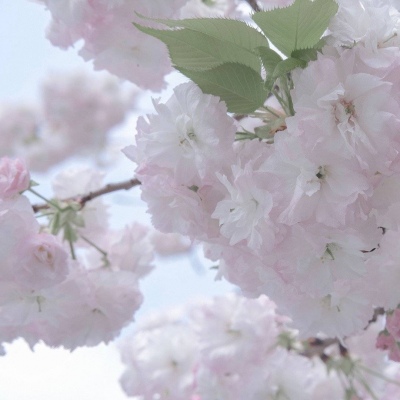 Furry萌系风格设计技巧福瑞群